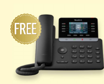 Yealink T73W